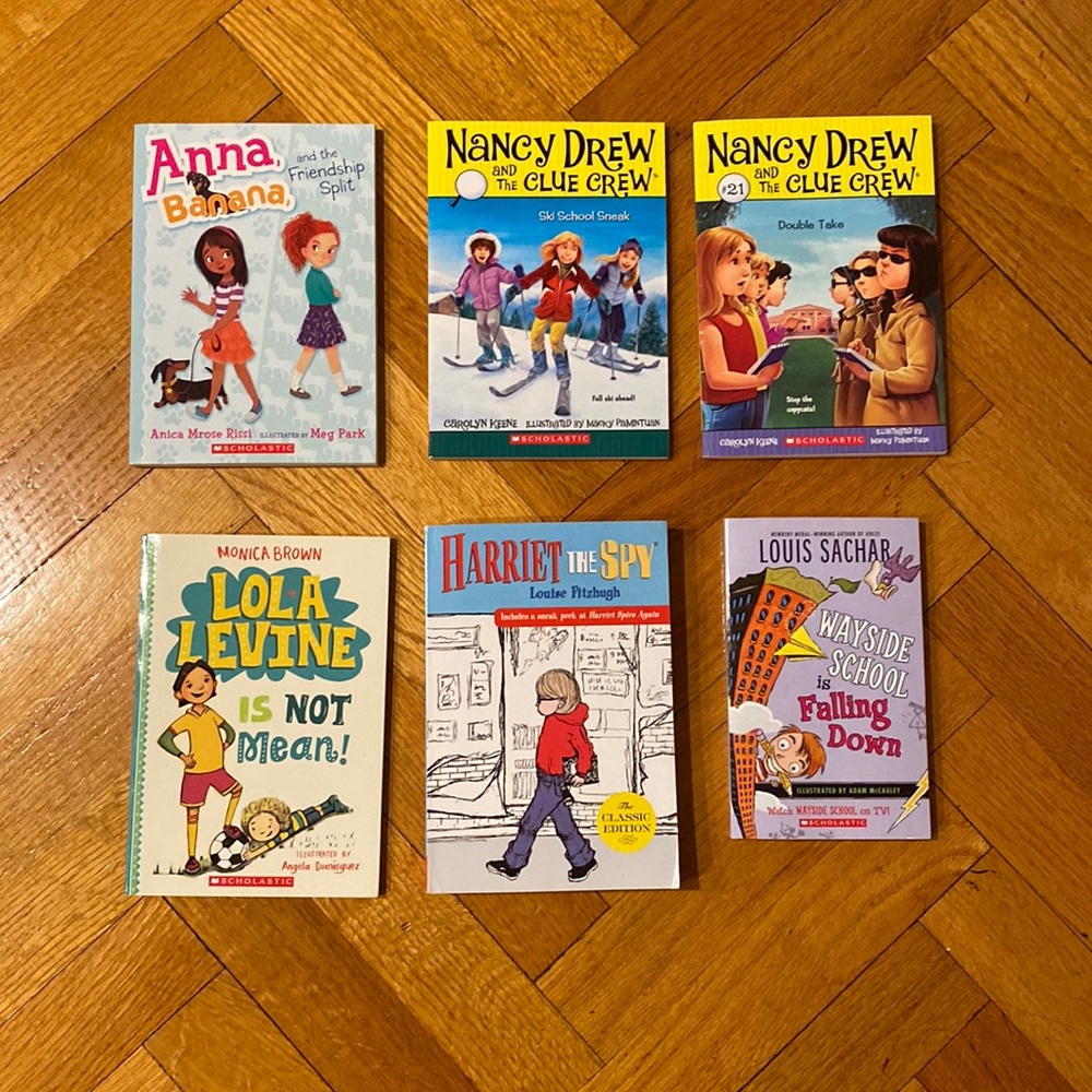 Bundle of chapter books